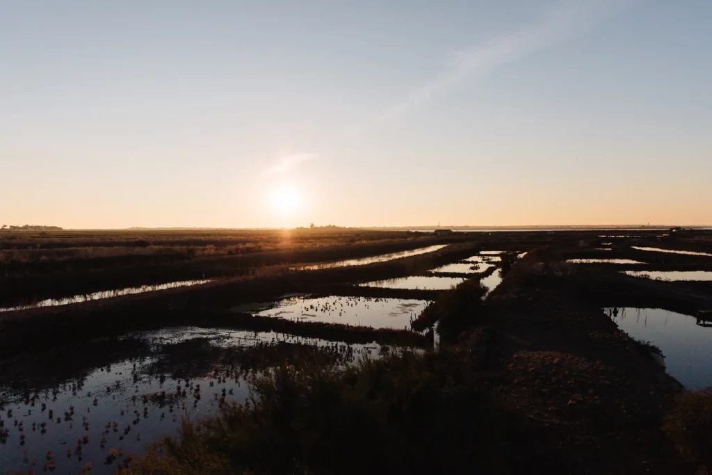 Coucher de soleil sur les marais de l'Île de Ré, paysage naturel d'où proviennent les pâtisseries bio Marlette