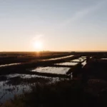 Coucher de soleil sur les marais de l'Île de Ré, paysage naturel d'où proviennent les pâtisseries bio Marlette
