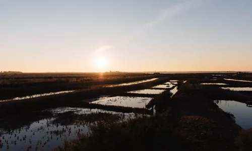 Coucher de soleil sur les marais de l'Île de Ré, paysage naturel d'où proviennent les pâtisseries bio Marlette